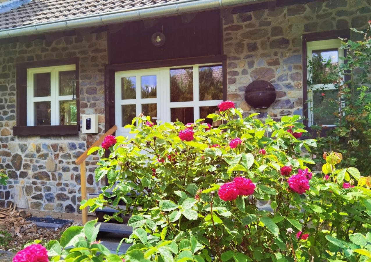 Ferienhaus Eifelrose سيمراث المظهر الخارجي الصورة