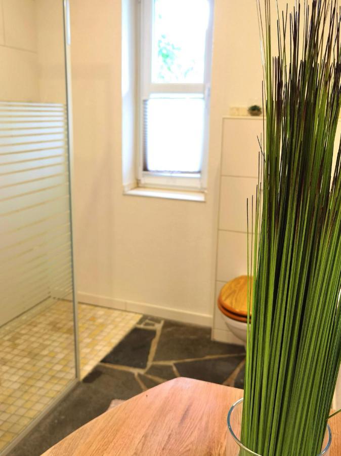 Ferienhaus Eifelrose سيمراث المظهر الخارجي الصورة