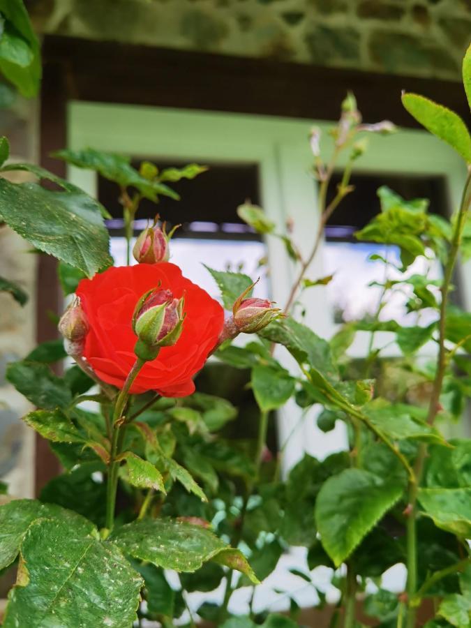 Ferienhaus Eifelrose سيمراث المظهر الخارجي الصورة