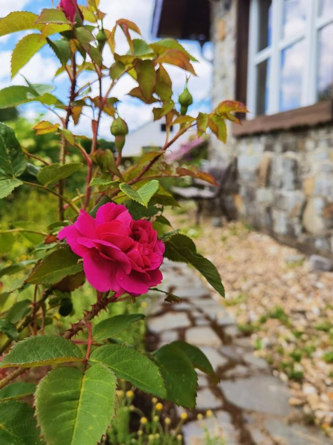 Ferienhaus Eifelrose سيمراث المظهر الخارجي الصورة