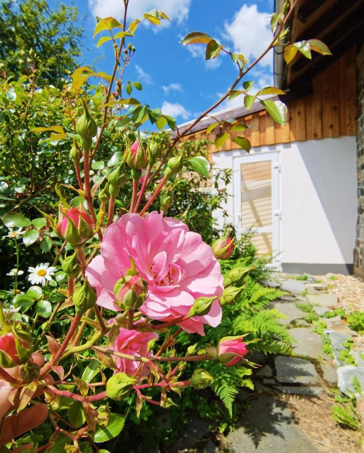 Ferienhaus Eifelrose سيمراث المظهر الخارجي الصورة