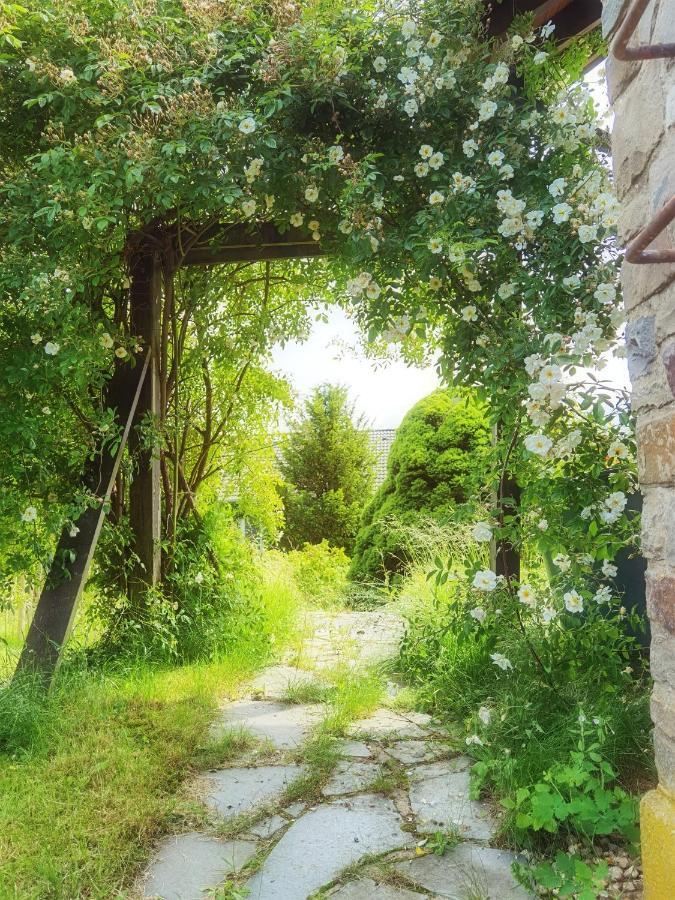 Ferienhaus Eifelrose سيمراث المظهر الخارجي الصورة