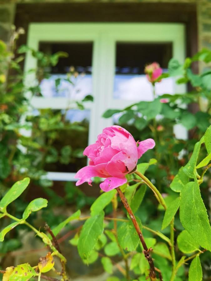 Ferienhaus Eifelrose سيمراث المظهر الخارجي الصورة