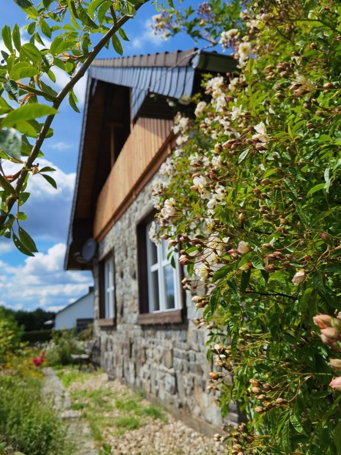 Ferienhaus Eifelrose سيمراث المظهر الخارجي الصورة